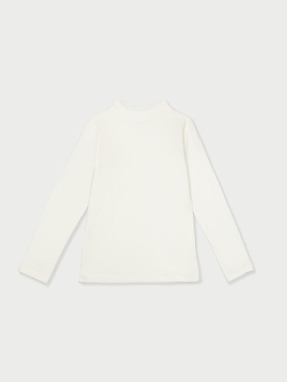 Picture of DL0011 UNISEX COTTON TURTLENECKS SEMI THERMAL